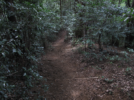 20161007hike (192)